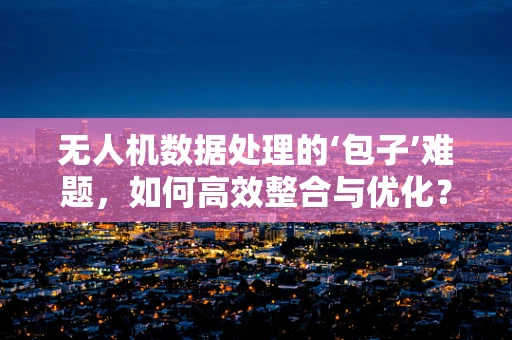 无人机数据处理的‘包子’难题，如何高效整合与优化？