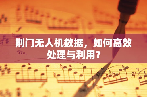 荆门无人机数据，如何高效处理与利用？
