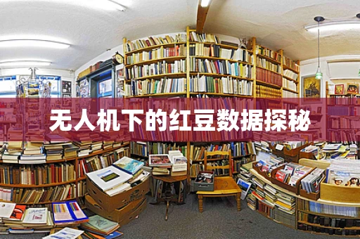 无人机下的红豆数据探秘