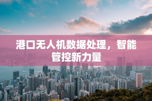 港口无人机数据处理，智能管控新力量