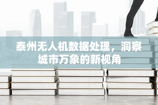泰州无人机数据处理，洞察城市万象的新视角