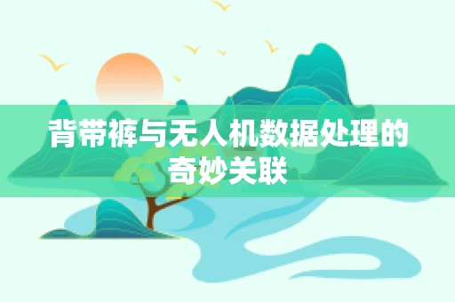 背带裤与无人机数据处理的奇妙关联