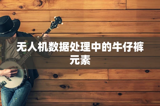 无人机数据处理中的牛仔裤元素