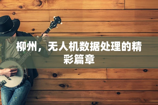 柳州，无人机数据处理的精彩篇章