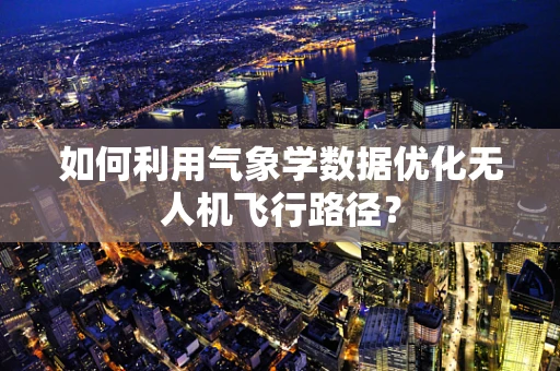 如何利用气象学数据优化无人机飞行路径？