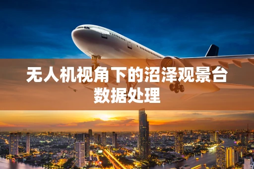 无人机视角下的沼泽观景台数据处理