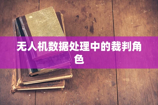 无人机数据处理中的裁判角色