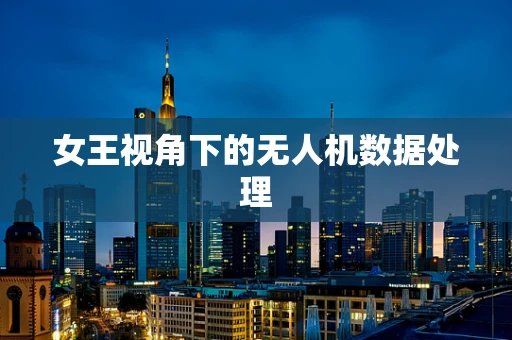 女王视角下的无人机数据处理