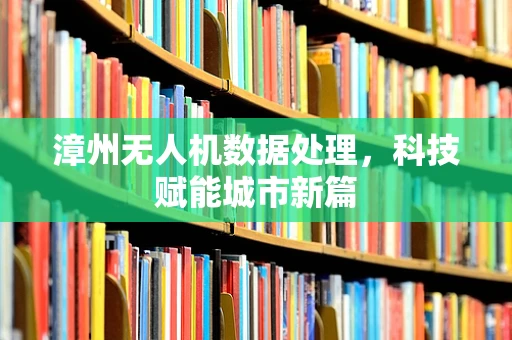 漳州无人机数据处理，科技赋能城市新篇