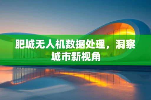肥城无人机数据处理，洞察城市新视角