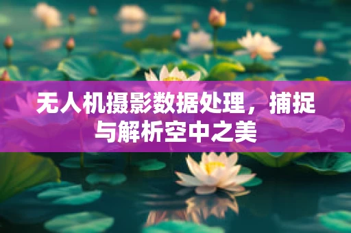 无人机摄影数据处理，捕捉与解析空中之美