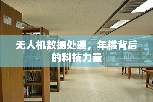无人机数据处理，年糕背后的科技力量