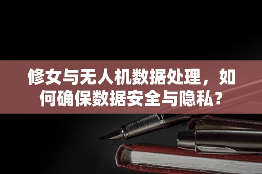 修女与无人机数据处理，如何确保数据安全与隐私？
