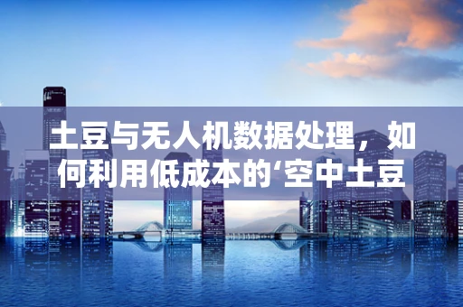土豆与无人机数据处理，如何利用低成本的‘空中土豆’提升数据收集效率？