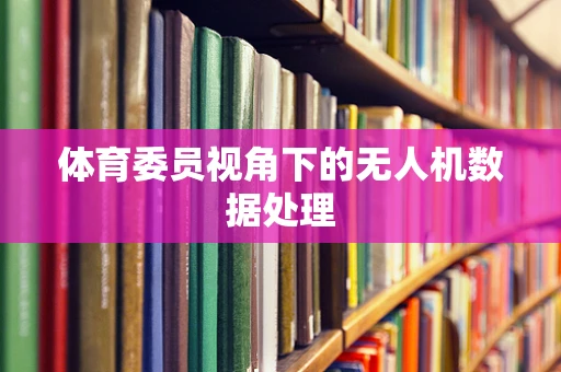 体育委员视角下的无人机数据处理