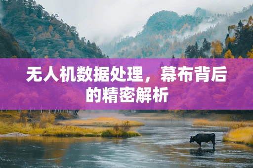 无人机数据处理，幕布背后的精密解析