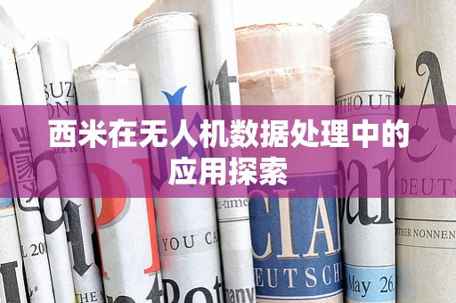 西米在无人机数据处理中的应用探索