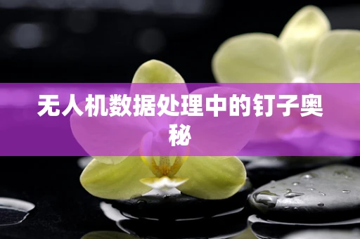 无人机数据处理中的钉子奥秘