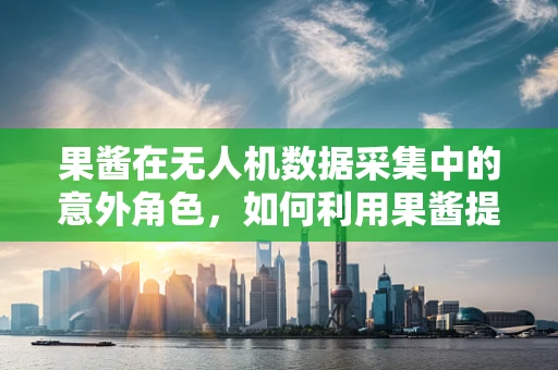 果酱在无人机数据采集中的意外角色，如何利用果酱提升图像处理精度？