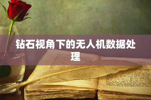 钻石视角下的无人机数据处理