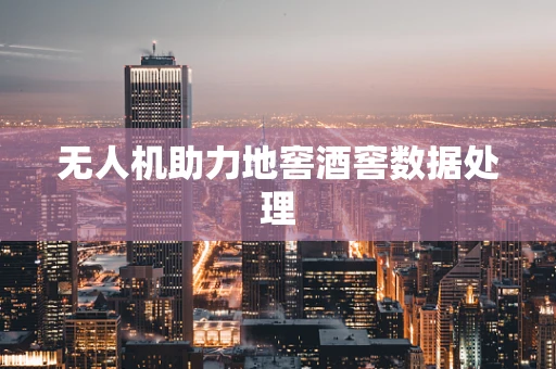 无人机助力地窖酒窖数据处理