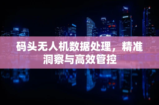 码头无人机数据处理，精准洞察与高效管控