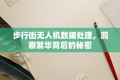 步行街无人机数据处理，洞察繁华背后的秘密