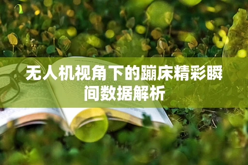 无人机视角下的蹦床精彩瞬间数据解析