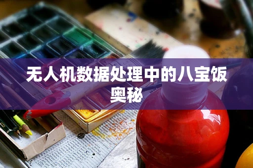 无人机数据处理中的八宝饭奥秘