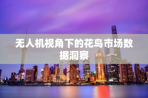 无人机视角下的花鸟市场数据洞察