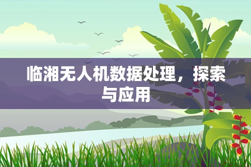 临湘无人机数据处理，探索与应用