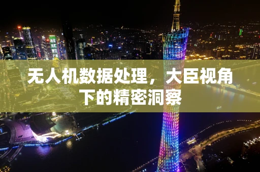 无人机数据处理，大臣视角下的精密洞察