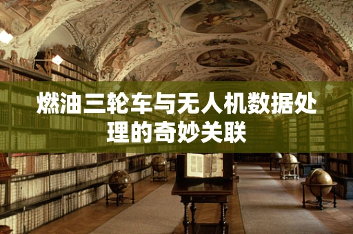 燃油三轮车与无人机数据处理的奇妙关联