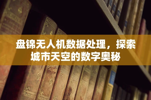 盘锦无人机数据处理，探索城市天空的数字奥秘