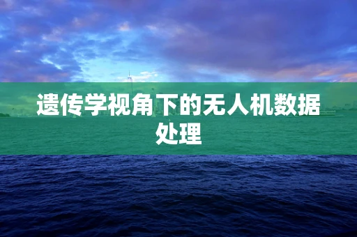 遗传学视角下的无人机数据处理