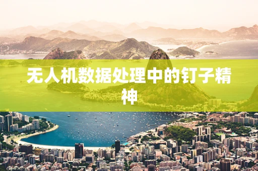无人机数据处理中的钉子精神