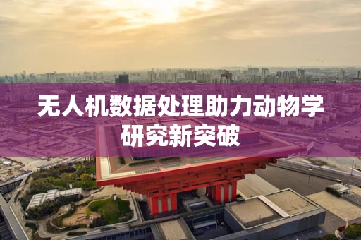 无人机数据处理助力动物学研究新突破
