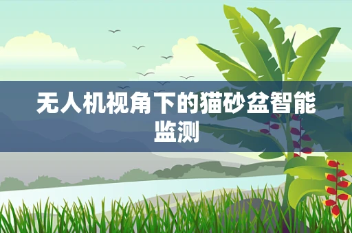 无人机视角下的猫砂盆智能监测