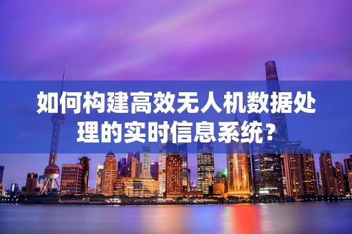 如何构建高效无人机数据处理的实时信息系统？