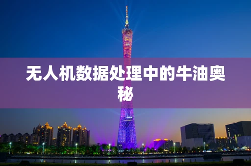 无人机数据处理中的牛油奥秘