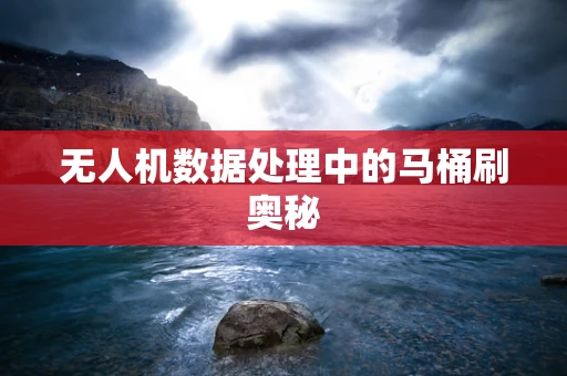 无人机数据处理中的马桶刷奥秘