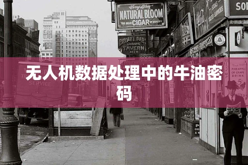 无人机数据处理中的牛油密码