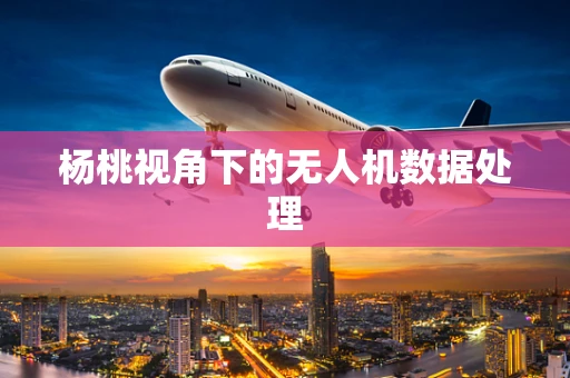 杨桃视角下的无人机数据处理