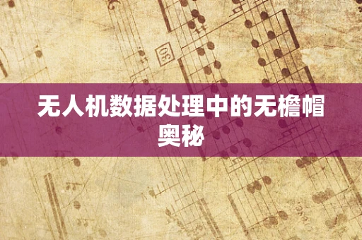 无人机数据处理中的无檐帽奥秘