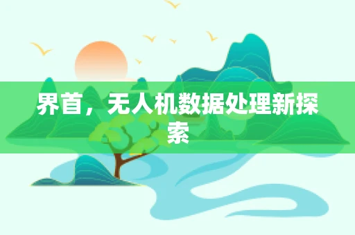界首，无人机数据处理新探索