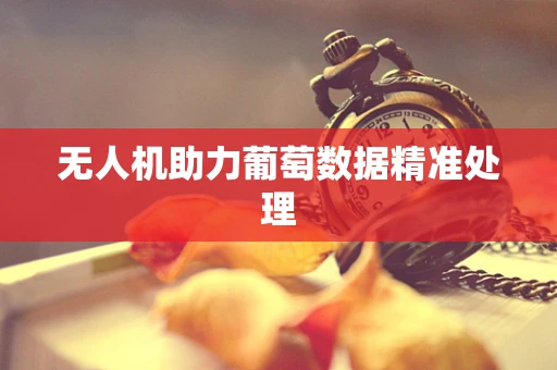 无人机助力葡萄数据精准处理