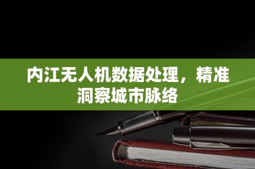 内江无人机数据处理，精准洞察城市脉络