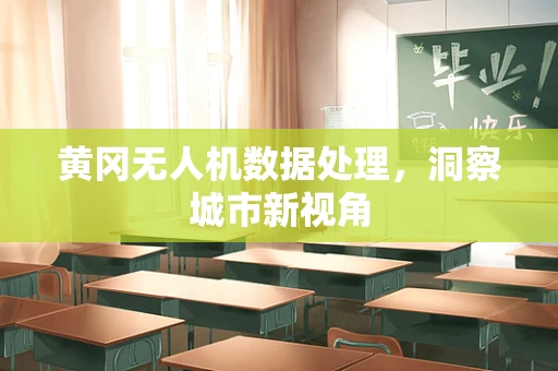 黄冈无人机数据处理，洞察城市新视角