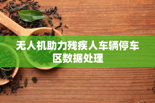 无人机助力残疾人车辆停车区数据处理