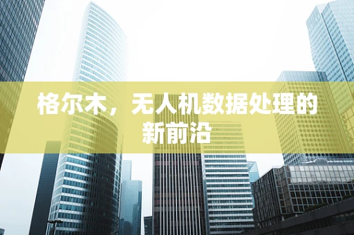 格尔木，无人机数据处理的新前沿